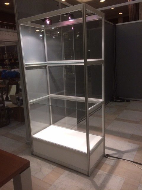 Vitriinikaappi valolla (3)